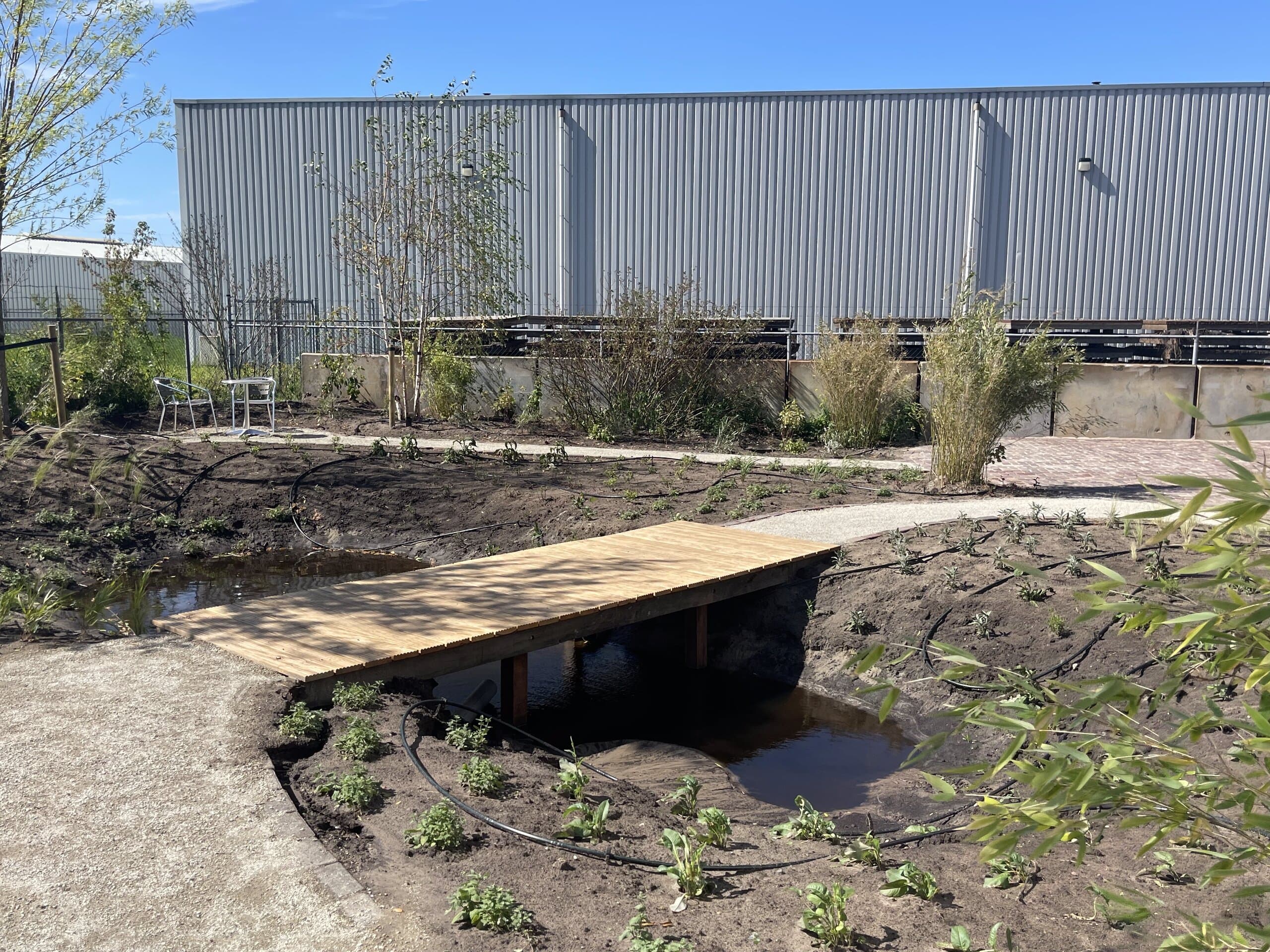 De wadi met water erin, overspannen door een houten brug, met jonge beplanting langs het grindpad