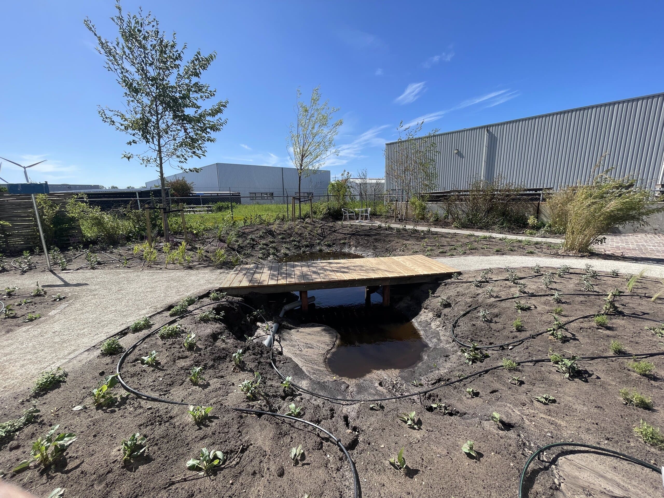 Zicht over de wadi met de houten brug en de pas geplante bomen erachter