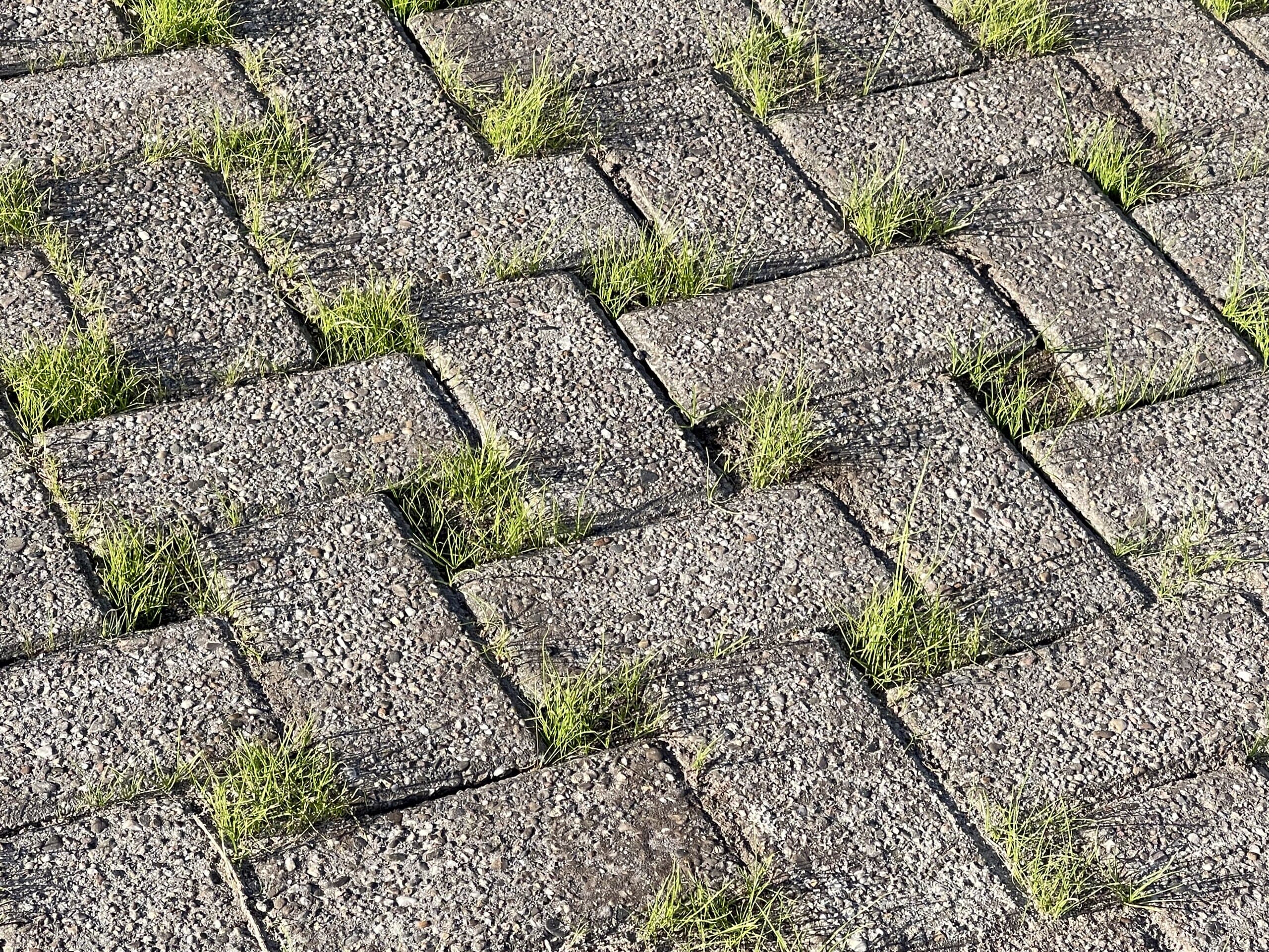 Detail van de waterdoorlatende verharding, met gras dat door de open voegen omhoog groeit