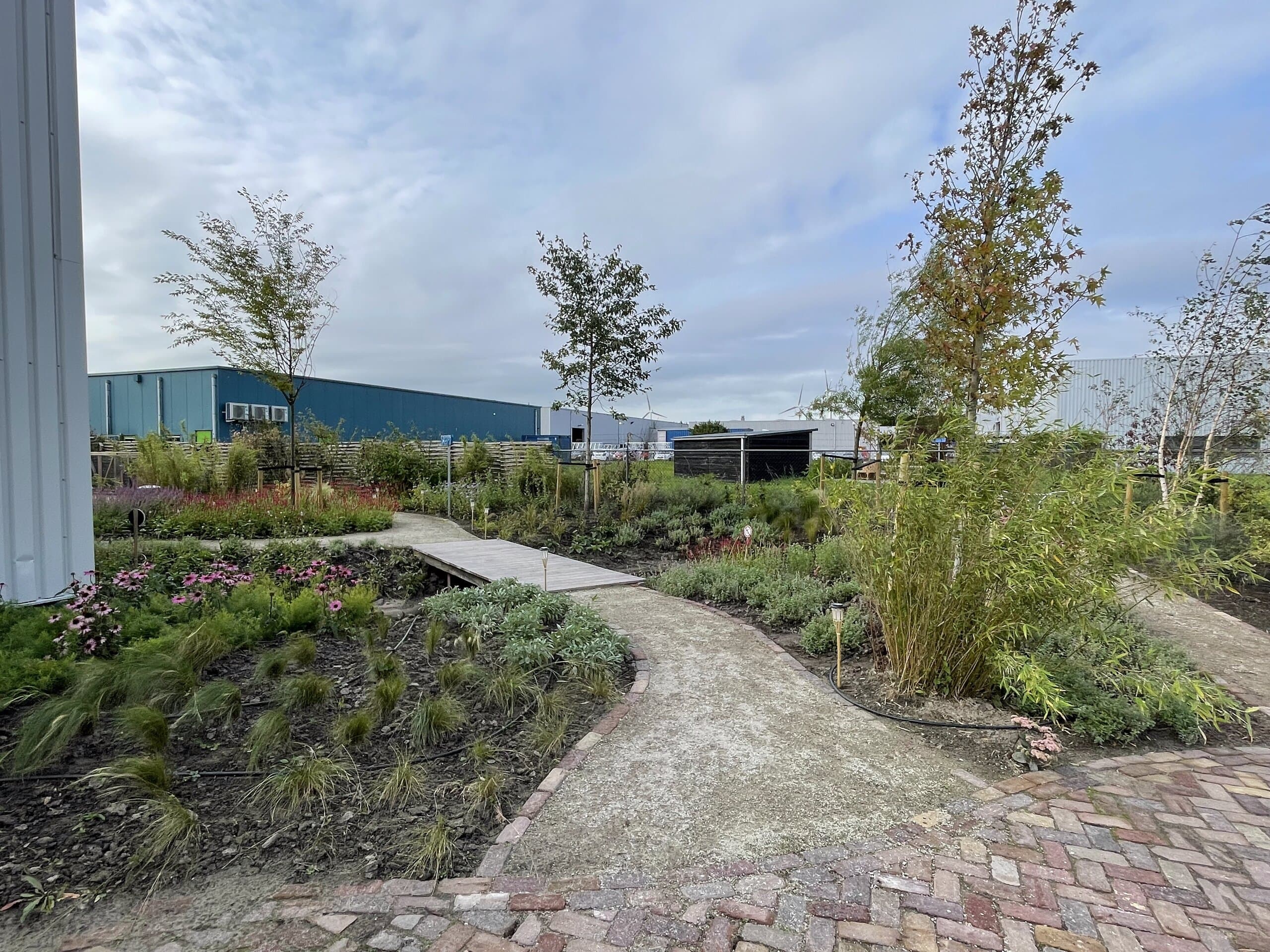 De tuin in bloei in de nazomer, met vaste planten en siergrassen langs het grindpad
