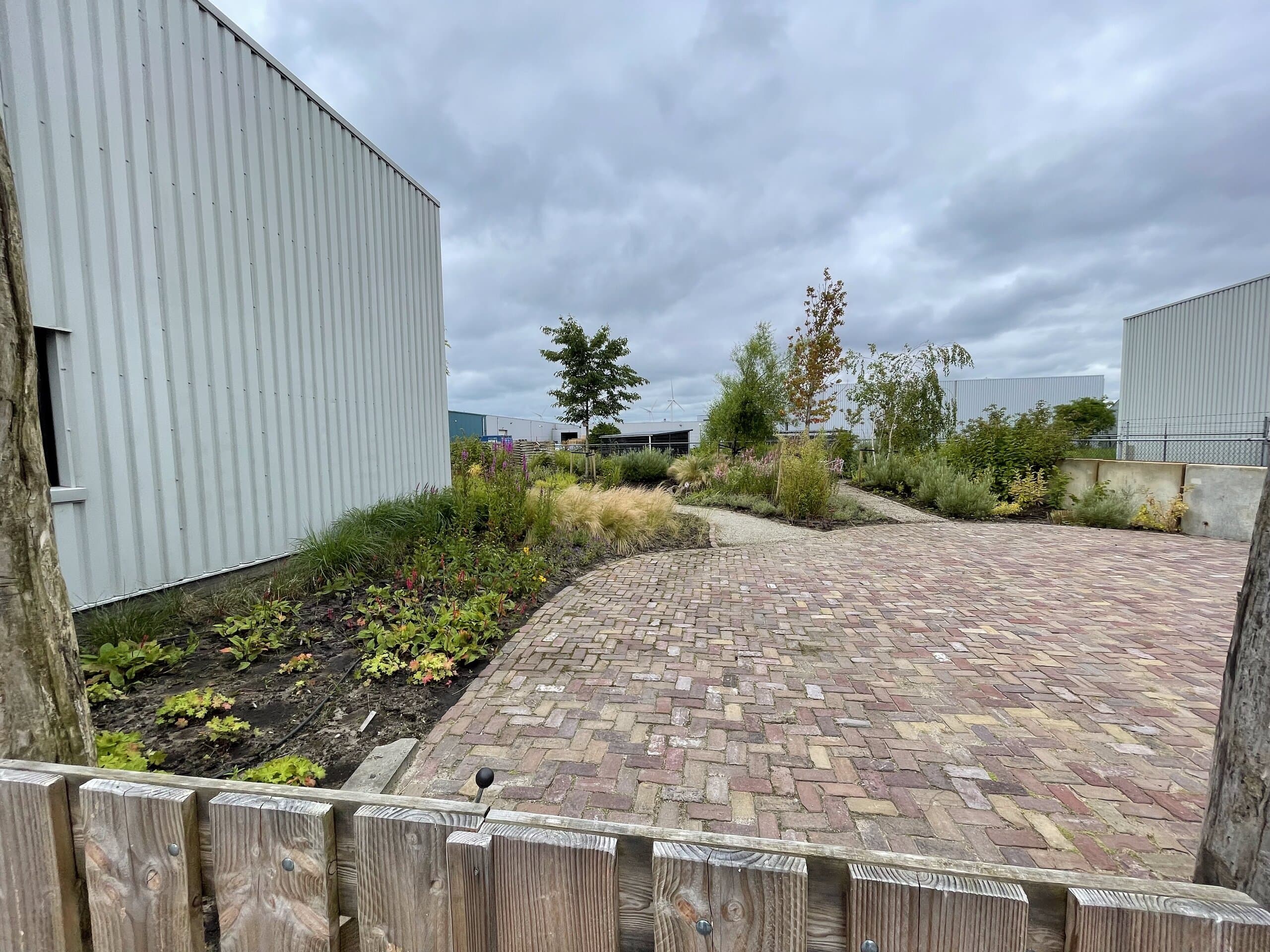 Volgroeide borders langs het klinkerpad, met jonge bomen achter de kastanjehouten afzetting