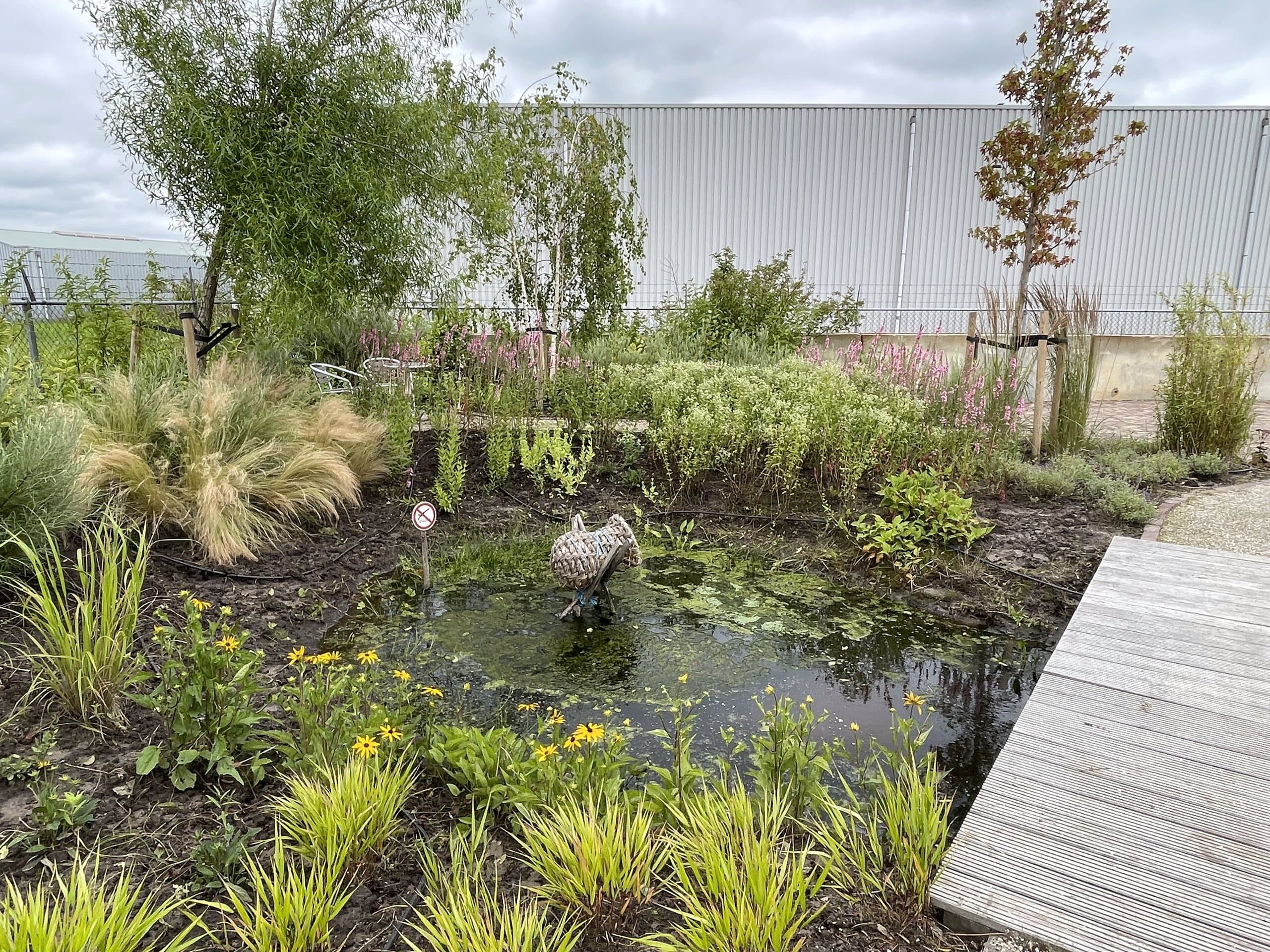 De wadi een jaar na aanleg, omzoomd door bloeiende vaste planten en overhangende takken