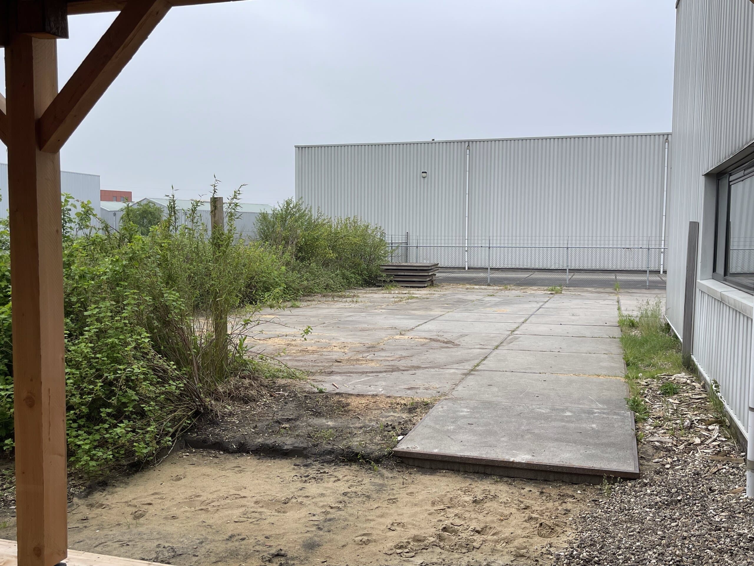 Zicht op de overkapping en de rietkraag aan de achterzijde van het terrein
