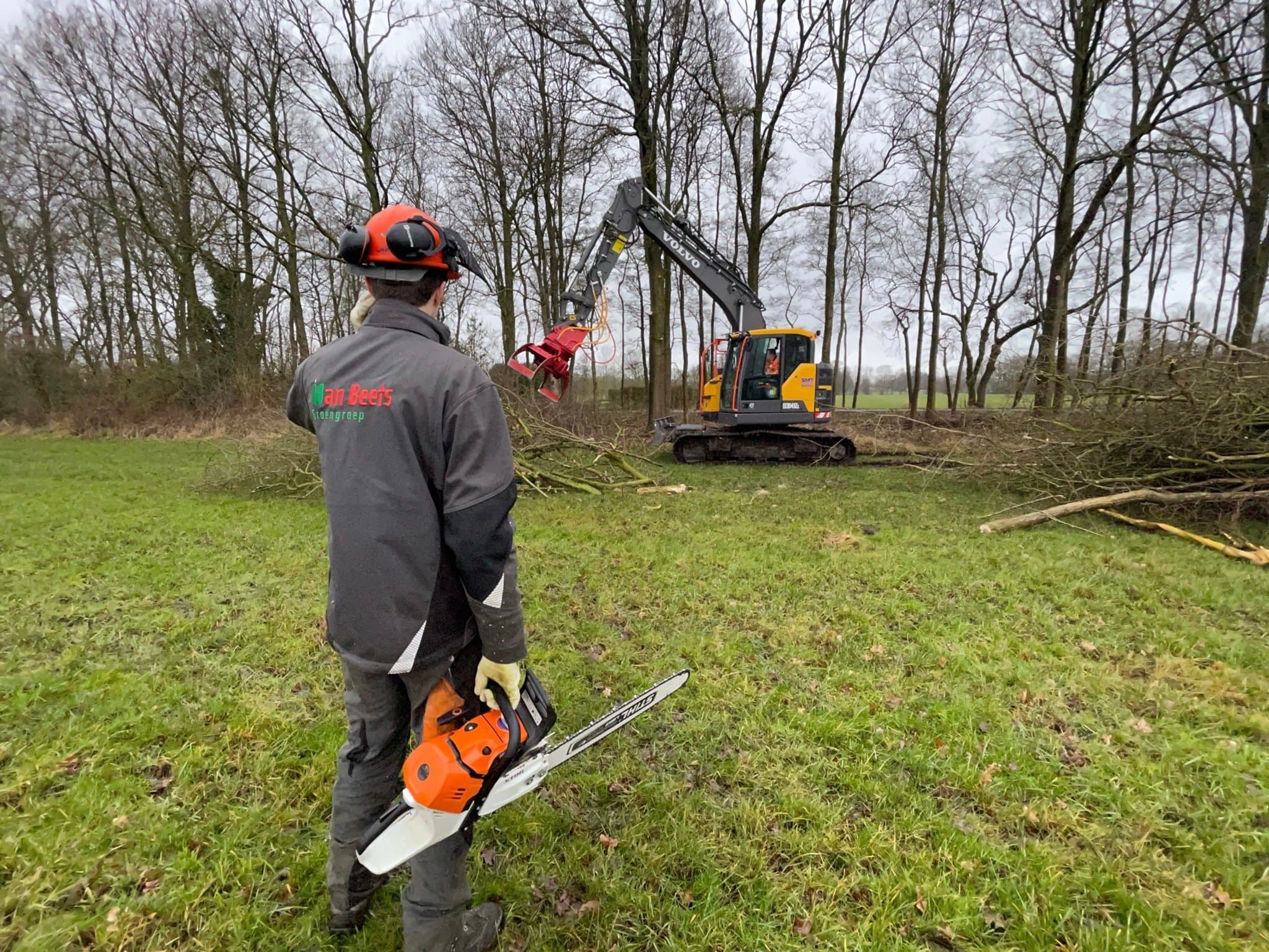 Boomverzorger van Van Beets met helm en kettingzaag bij het rooien van een bomenrij, met een graafmachine met grijper op de achtergrond