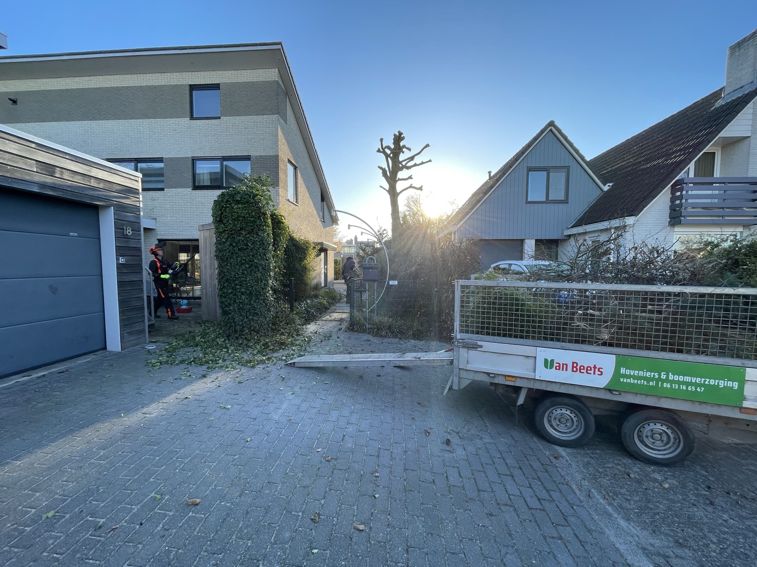 Aanhanger van Van Beets Hoveniers & boomverzorging, volgeladen met snoeiafval op een oprit