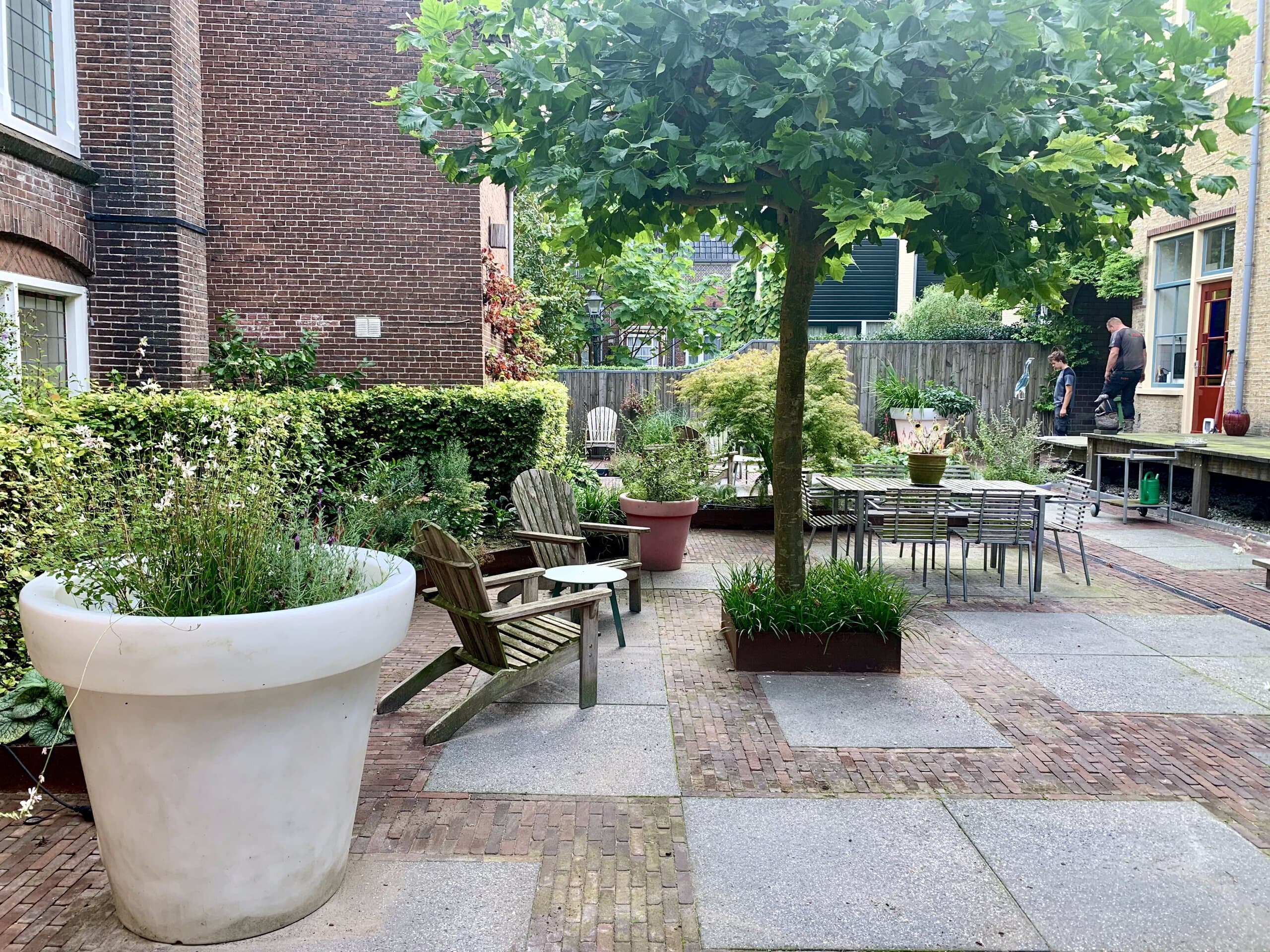 Grote witte plantenbak bij de eettafel onder de boom, met de haag als groene wand