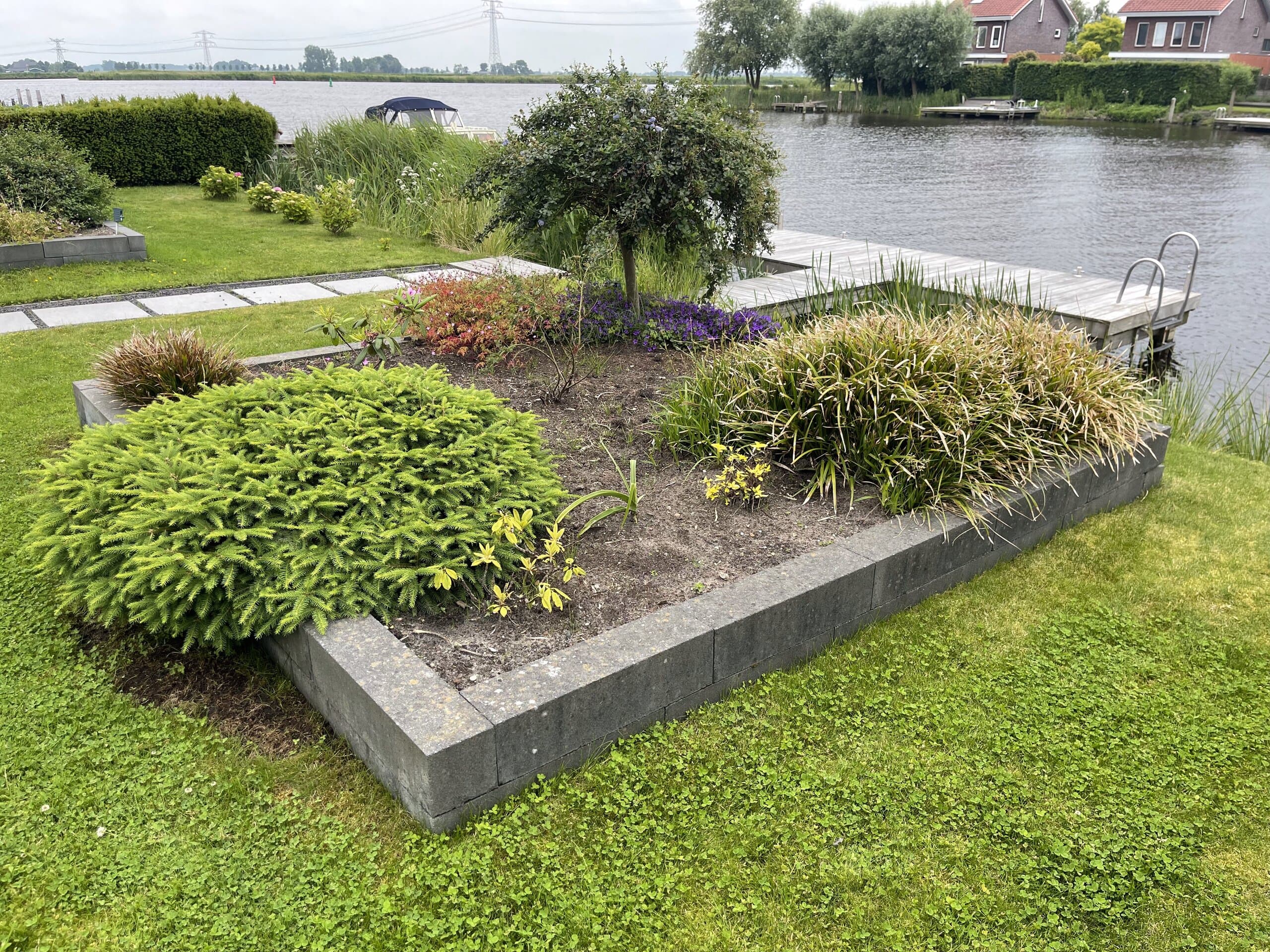 Verhoogde border van betonelementen met siergrassen, een conifeer en een meerstammige boom, naast de steiger