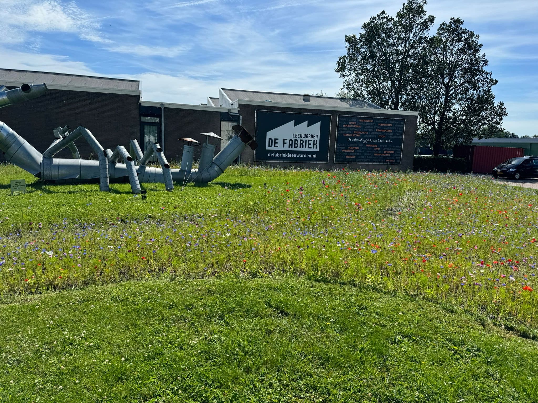 Het insect op het grasveld voor De Fabriek, met de bloeiende strook op de voorgrond