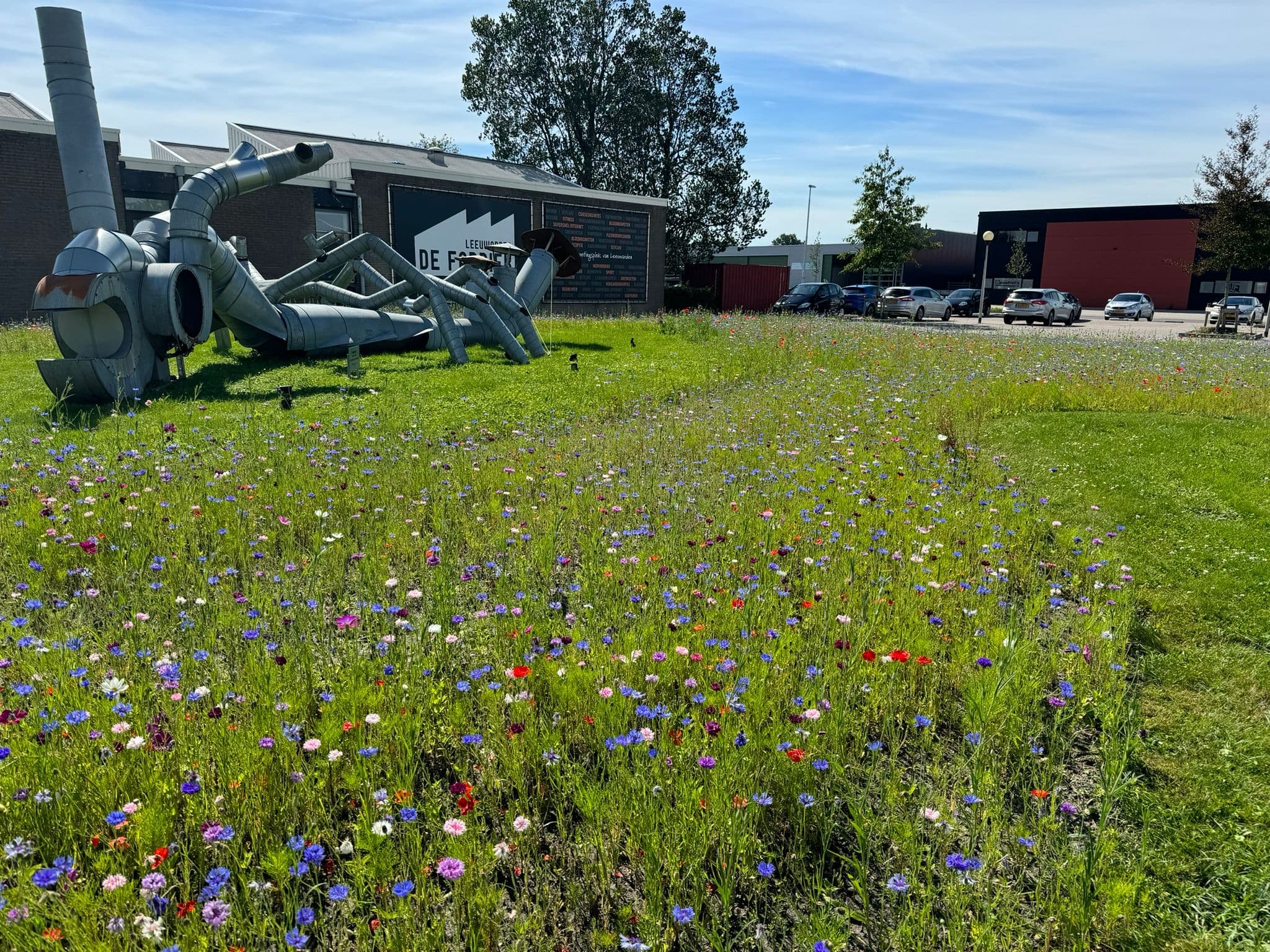 De ingezaaide strook rond het kunstwerk, met de parkeerplaats van het bedrijfsterrein op de achtergrond